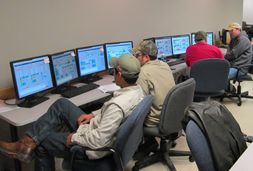 Training and Consulting